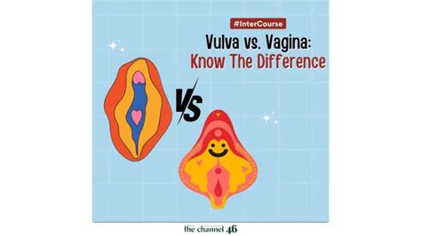 Vulva vs. Vagina: Know The Difference | PPTX