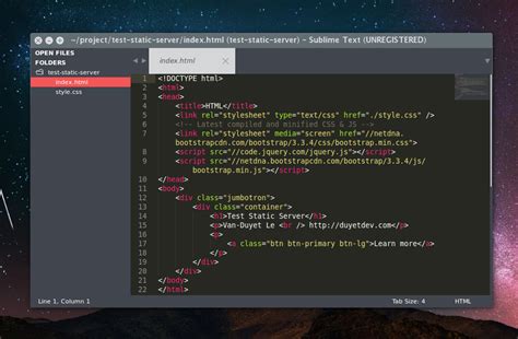 Create a Server in JavaScript 的图像结果
