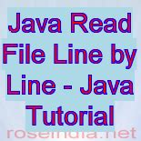 How to Read a File Line by Line in Java 的图像结果