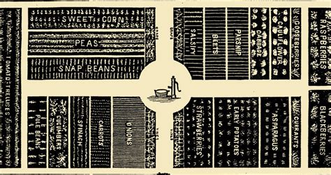 No-Till Gardening Techniques 的图像结果