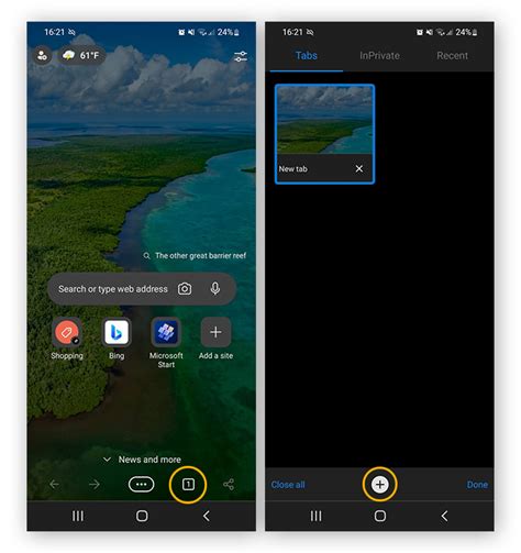 View in Private Browsing 的图像结果