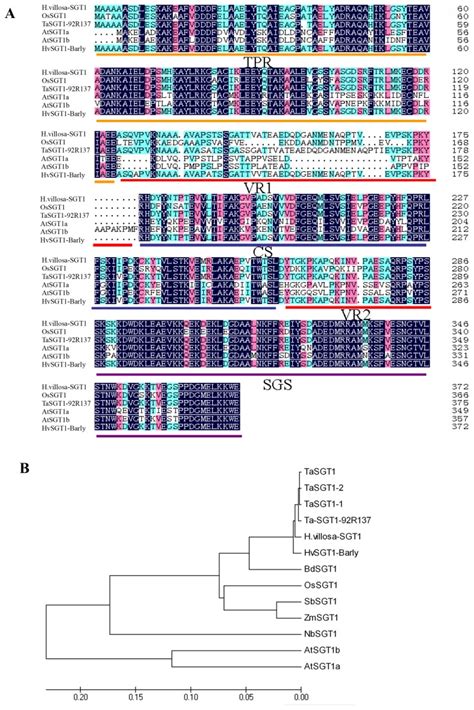 Image result for Conserved Sequence