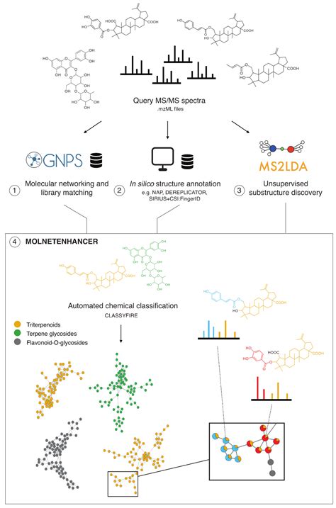 MolNetEnhancer: Enhanced Molecular Networks by Integrating Metabolome ...