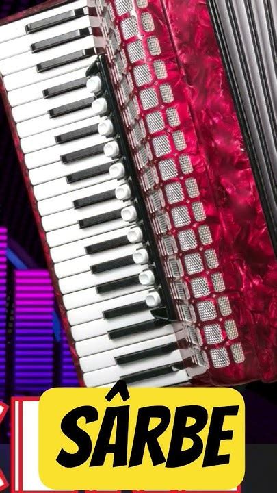 Image result for Sarbe Tutorial