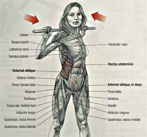 Core Muscle Workouts 的图像结果