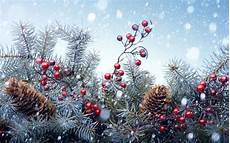 winter holiday winter weekly memo lions gate montessori winter holiday winter weekly memo lions gate montessori