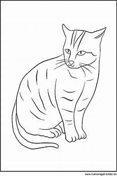 katze malvorlage pdf katzen zeichnung zum ausdrucken katze malvorlage pdf katzen zeichnung zum ausdrucken