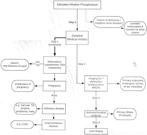 Alkaline Phosphatase: Elevated and low levels