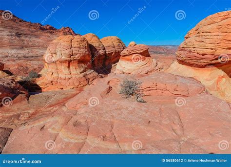 The Wave Utah Permit