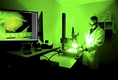 Forensic Technology 的图像结果