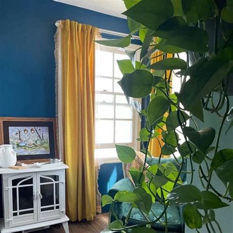 Blue Behr paint colors reviews