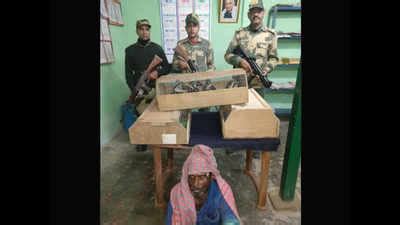 BSF nabs Bangladeshi smuggler with 17 exotic birds in West Bengal's ...