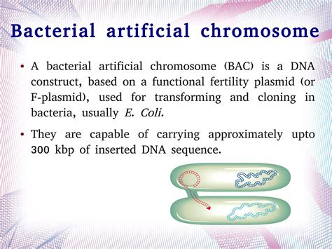 Artificial Vectors | PDF