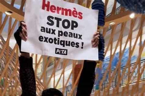 PETA attends Hermès meeting, calls for vegan bags; Dumas speaks of ...