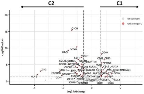 Two Different Immune Profiles Are Identified in Sentinel Lymph Nodes of ...