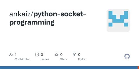 Image result for Python Socket Programming