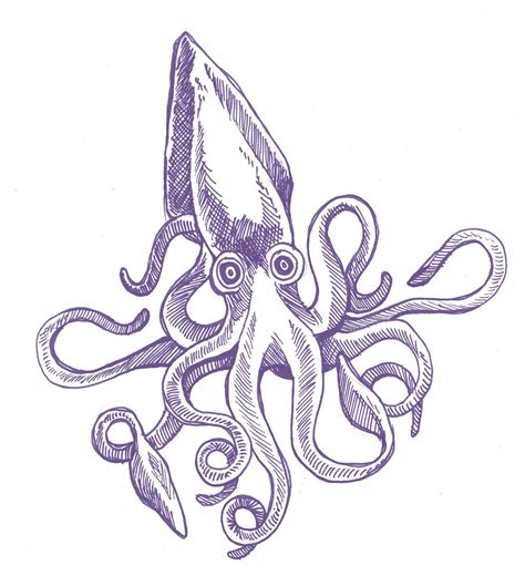 Giant Squid Tentacles Drawing
