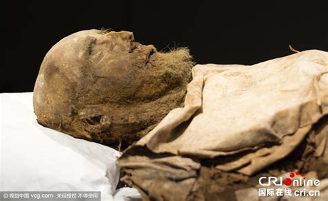 17世纪瑞典主教遗体被发现 去世300多年保存完好(高清组图)|瑞典|遗体|主教_新浪新闻