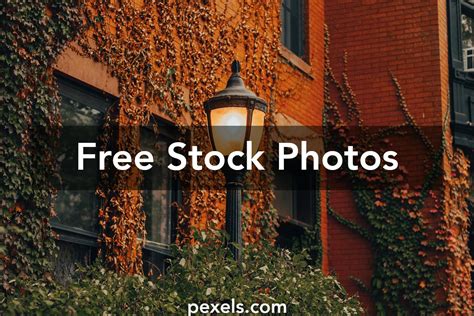 ABCD Cartoon 的图像结果