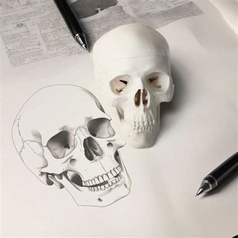 Mini Human Skull Model, 3 Parts Palm-Sized Anatomy Skull Model With ...