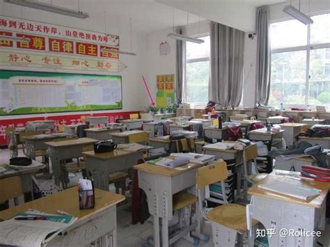 宜昌这两所学校更名，伍家岗区实验初中、伍家外小来了__凤凰网