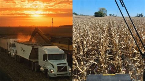 Image result for Food Labeling Explained