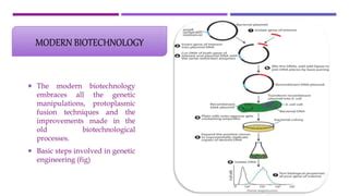 Biotechnology Process 的图像结果