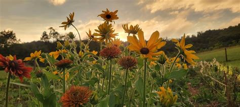 Women Impact Virginia: Rooted in Purpose, 25161 Watauga Rd, Abingdon ...