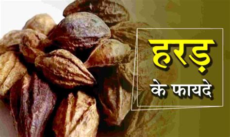 आइये जानें हरड़ के फायदे और नुकसान – NAMHYA