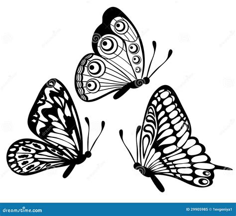 Butterflies Black And White Drawing