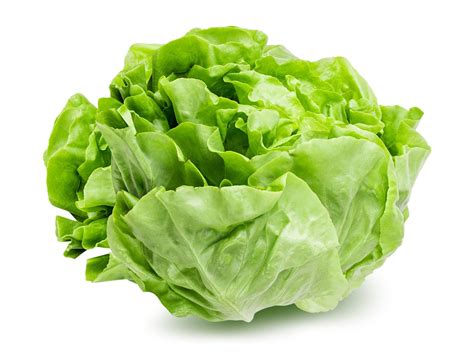 Lettuce Head