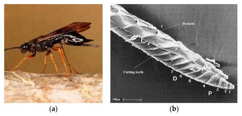 Development of the Third Generation of the Dual-Reciprocating Drill
