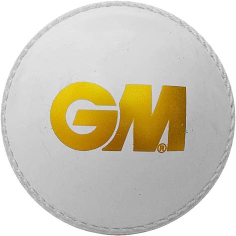 SS Poly Soft Cricket ball, Red : Amazon.in: Sports, Fitness & Outdoors