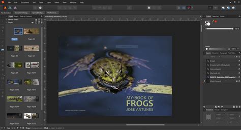 Image result for Affinity Publisher Vs InDesign