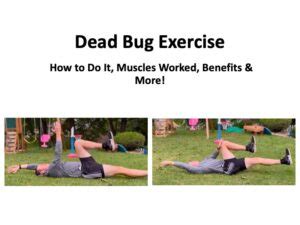 Image result for Dead Bug Exercise Benefits