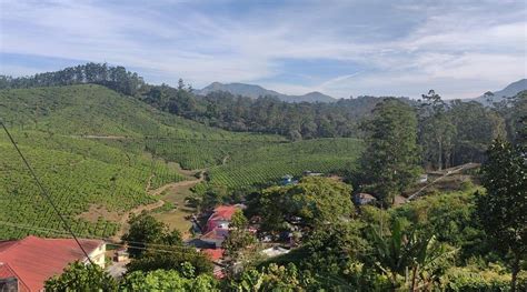 KOWSIGA HOMESTAY (Valparai, Tamil Nadu) - Hostel Reviews & Photos ...