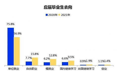 上海纽约大学发布2022届本科毕业生就业质量报告