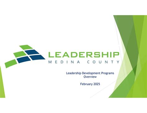 Programs overview graphic - Leadership Medina County