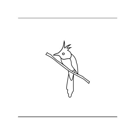 D'source Case Study - Slide Show | Indian Paradise Flycatcher | D ...