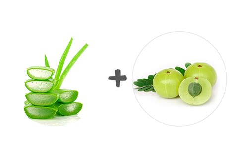Hair Regrowth: HOW TO USE ALOE VERA GEL FOR HAIR GROWTH