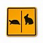 Image result for Rabbit and Turtle Painting