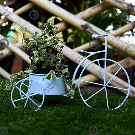 Buy Pot Stands Online at best price in India on plantsguru