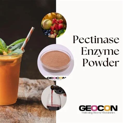 Food Enzymes - Transglutaminase Enzyme Powder Service Provider from Mumbai