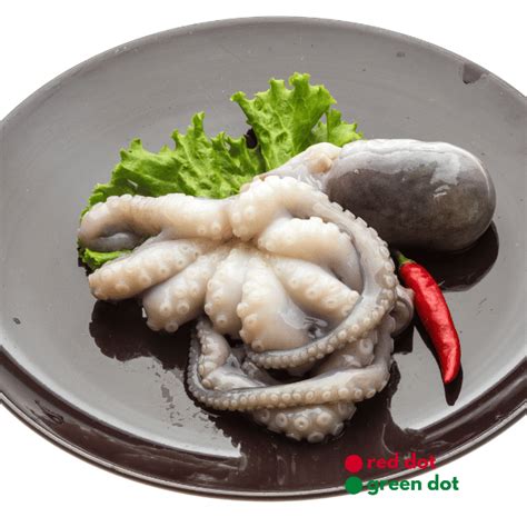 Fresh Whole Octopus - Premium Quality Seafood for Culinary Delights ...