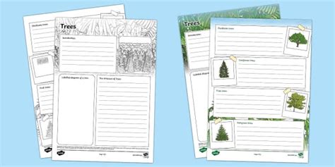 Trees Non-Chronological Report Template (teacher made)