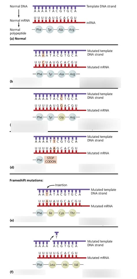 Mutation 的图像结果