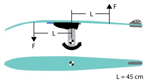 Water Ski Binding Release Characteristics in Forward Lean