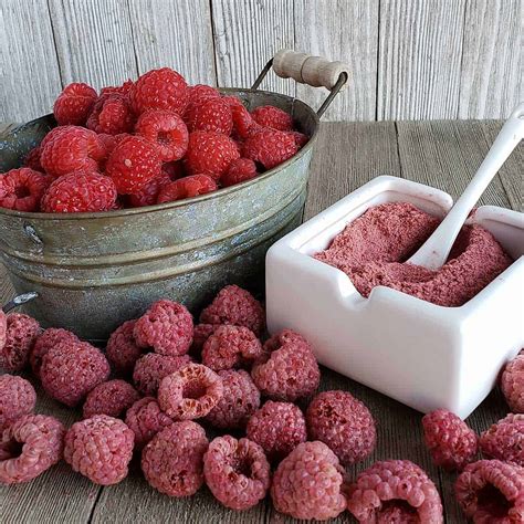 How to Freeze Dry Raspberries - The Purposeful Pantry