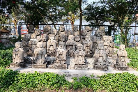 Japanese Forest Eco Park: বাসে বা গাড়িতে জাপান যাবেন? কলকাতাতেই, রইল ...