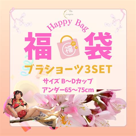 A70 A75 B65 B70 B75 C65 C70 C75L D65 D70 D75L 3setおまとめ福袋\ABCDサイズ☆／【ブラ ...
